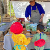 プレシャス二日町｜0120_エレベーター点検のお知らせ