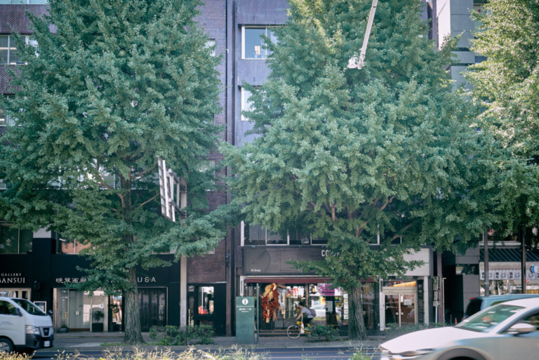 広瀬通の交差点、COMPASSと共用部が働き方を広げる「協立1ビル」