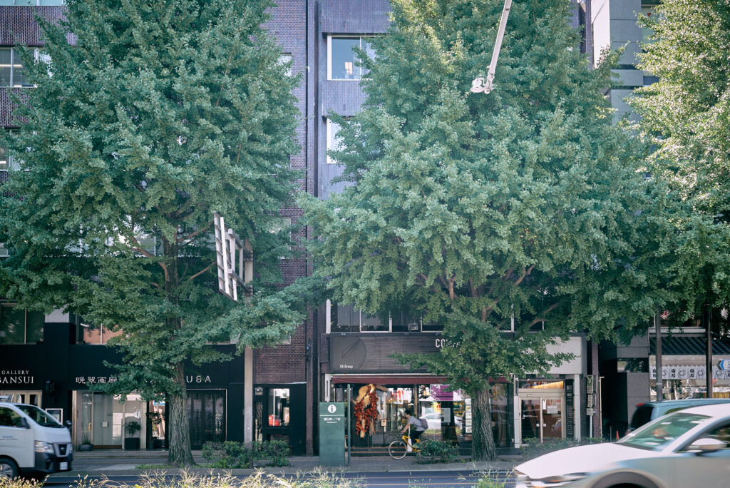 広瀬通の交差点、COMPASSと共用部が働き方を広げる「協立1ビル」
